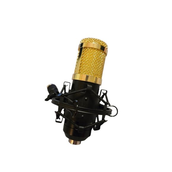 Professional Condenser NW-800 Gold Microphone Shock Mount Pop‎ Filter - Picture 3 of 7
